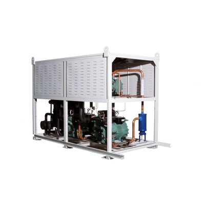 High Quality Brand Air Cooled Condensing Unit Cold Room Refrigeration Compressor Condenser Unit